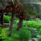 MEKONG RIVER DELTA - CANTHO 2 DAYS 1 NIGHT TOUR from 81 USD/person only